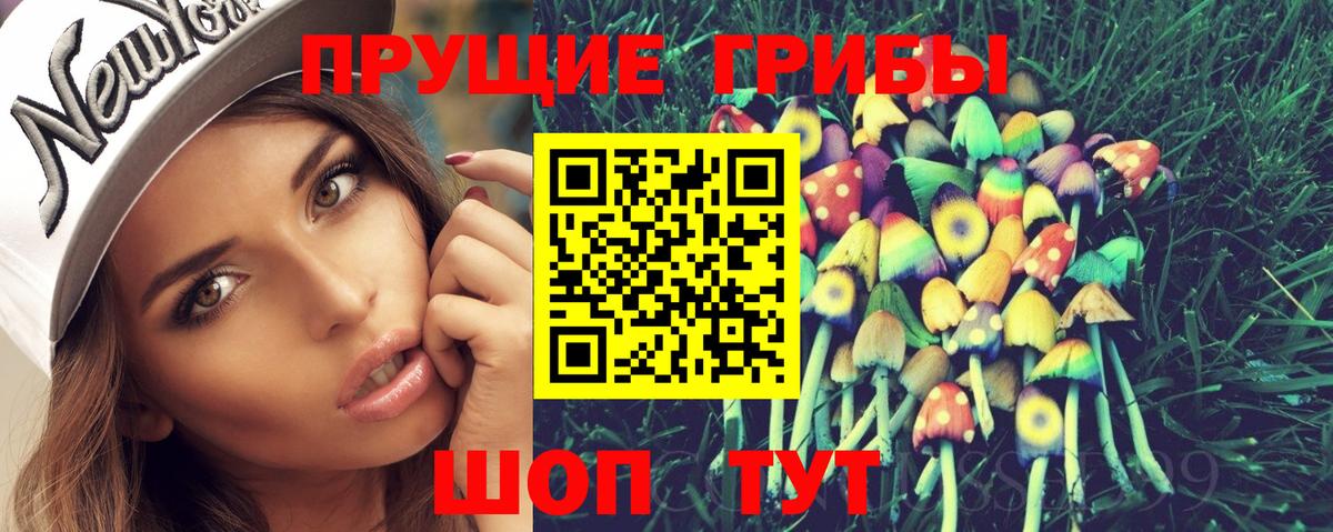 Галлюциногенные грибы Psilocybe Карабулак